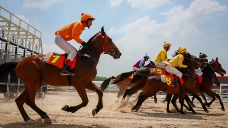 Cá Cược Đua Ngựa