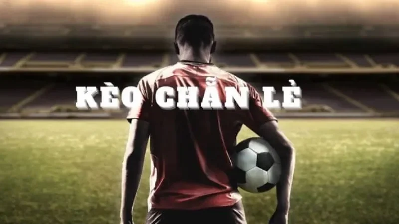 Áp dụng tỷ lệ kèo chẵn lẻ đối với từng trận bóng