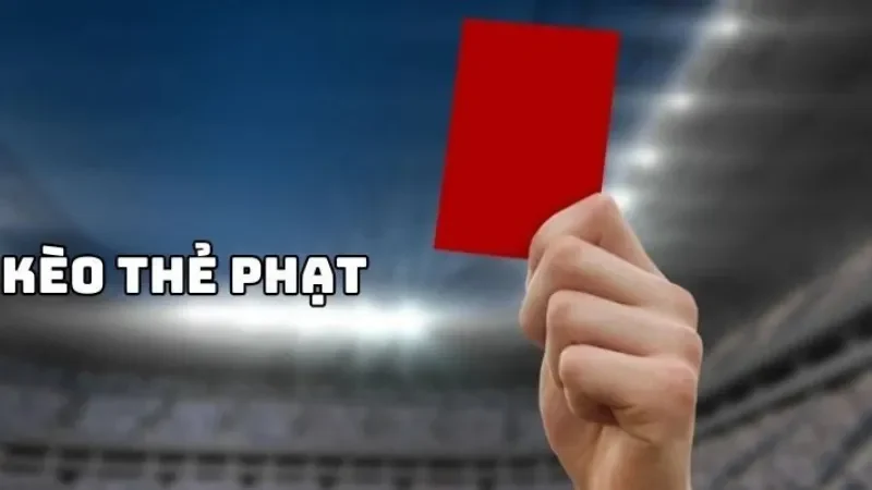 Lưu ý đến tính chất của các vòng đấu