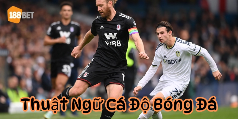 Thuật Ngữ Cá Độ Bóng Đá nâng cao