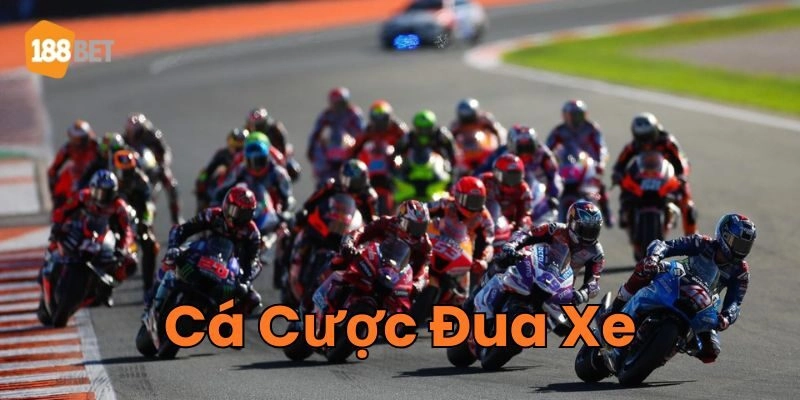 Cá Cược Đua Xe là gì? 