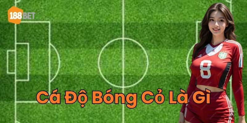 Mẹo hay quan trọng về Cá Độ Bóng Cỏ Là Gì